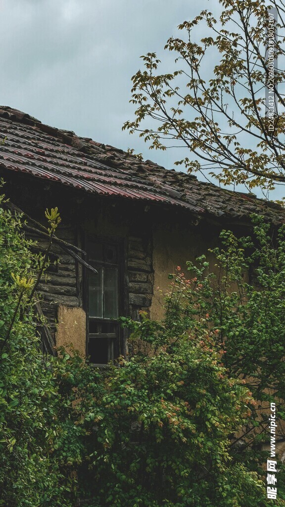 被绿植环绕的古朴小屋