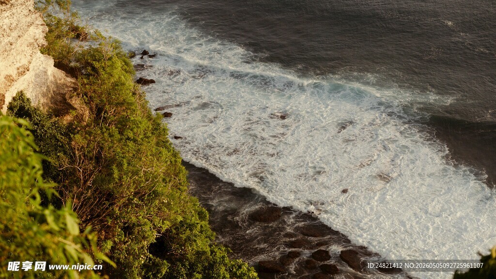 海岸边的绿植与翻涌海浪
