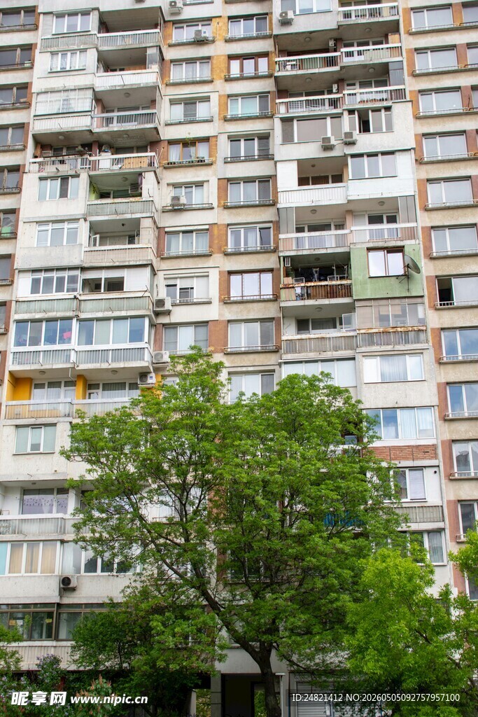 老旧居民楼旁的葱郁绿树