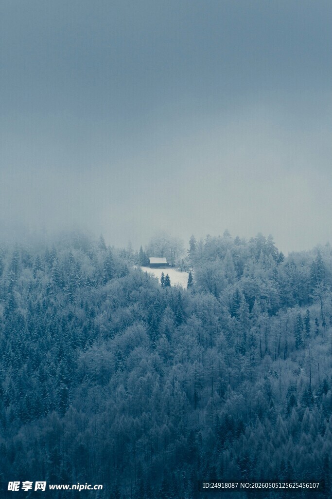 雪覆山林中的静谧小屋