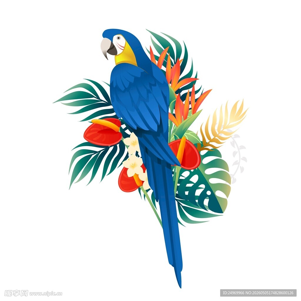 蓝鹦鹉与热带花卉插画