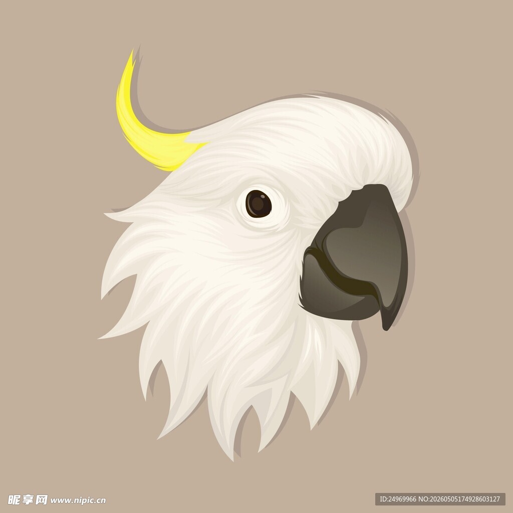 白色鹦鹉头像插画