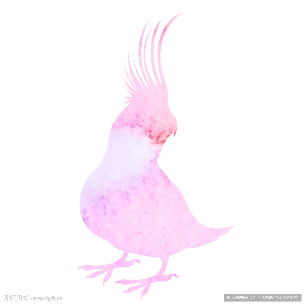 粉色鹦鹉水彩画