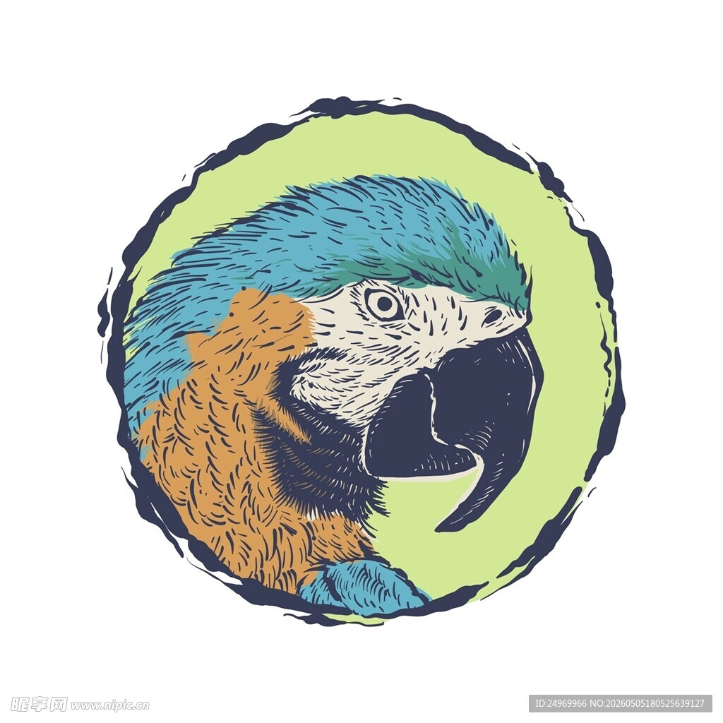 彩色鹦鹉头像插画图案
