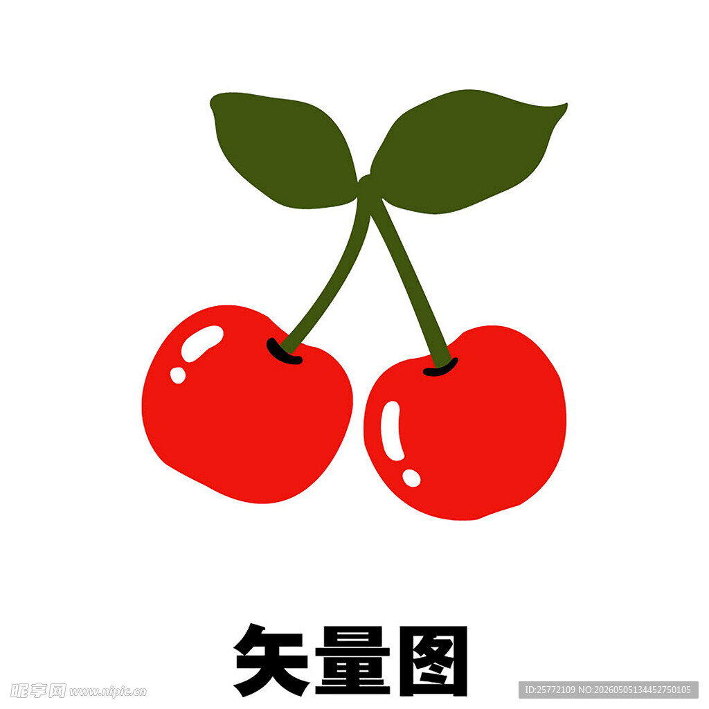 两颗樱桃矢量图