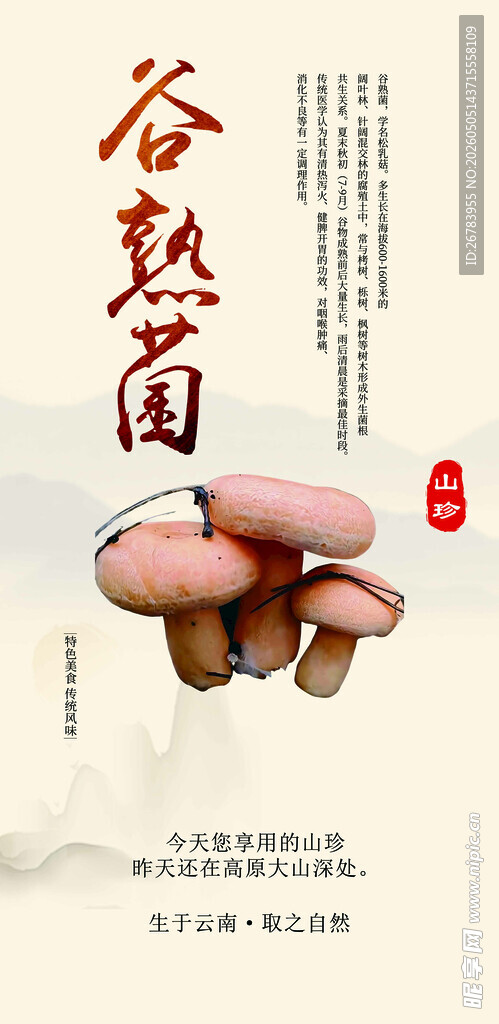手捧谷熟菌自然之馈赠