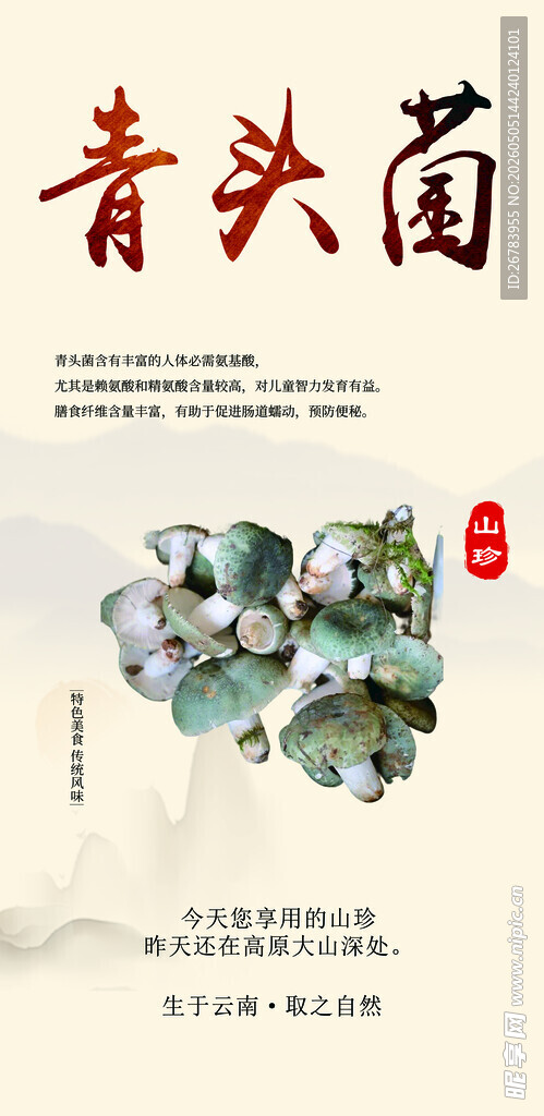青头菌宣传海报