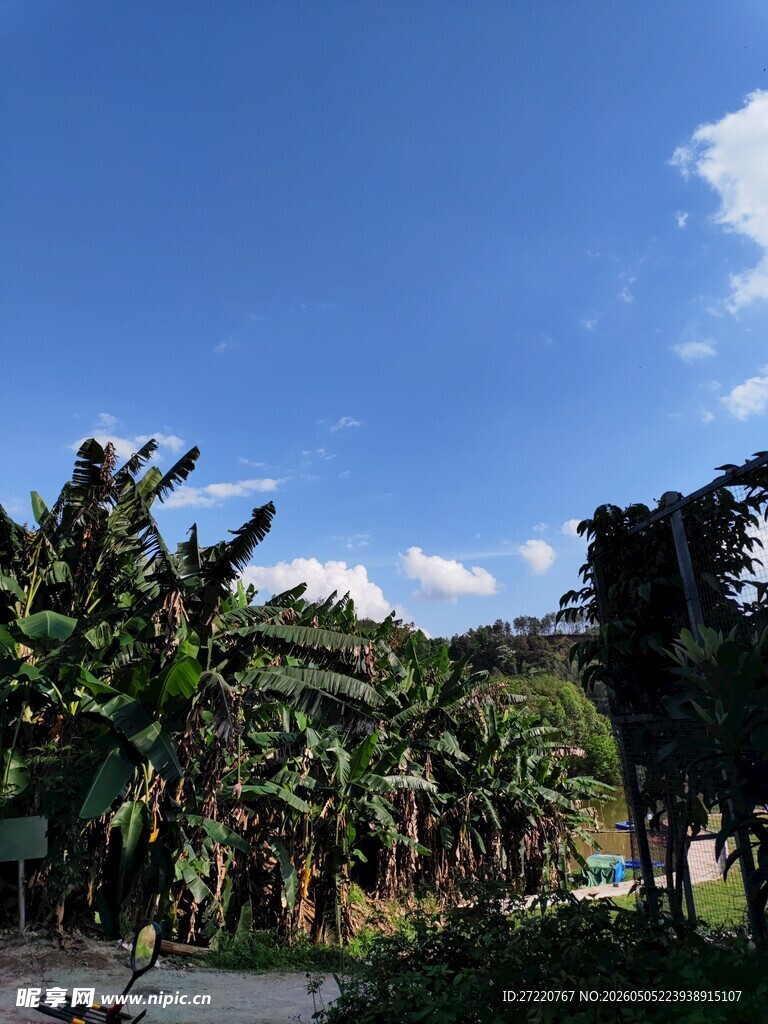 蓝天绿树间的自然景致