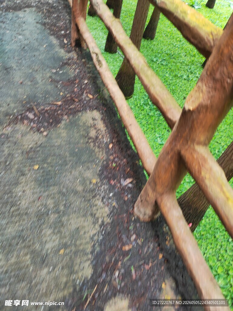 木质围栏旁的小径