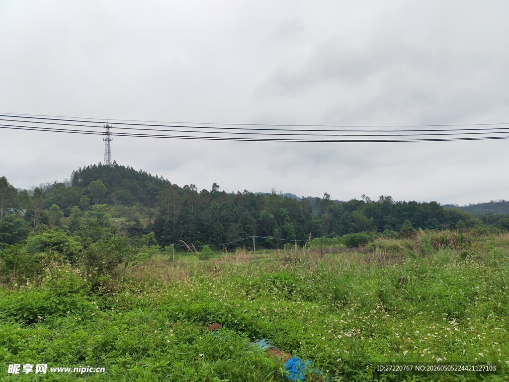 绿野山林乡村自然风景
