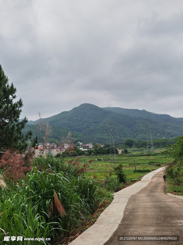 乡村小路旁的田园风光