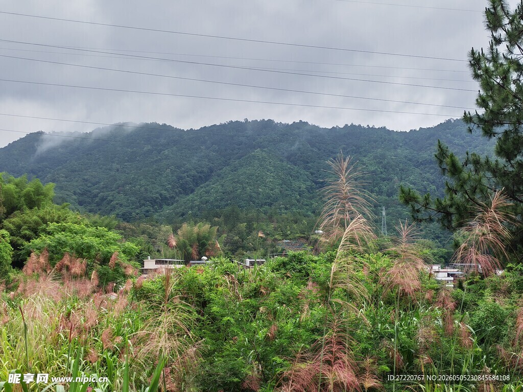 山间绿野 云雾缭绕之景