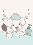 小狗愉快洗澡时刻