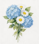 蓝绣球与雏菊插花图