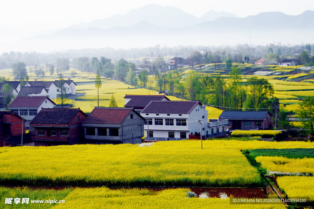 春日乡村田园风光美景