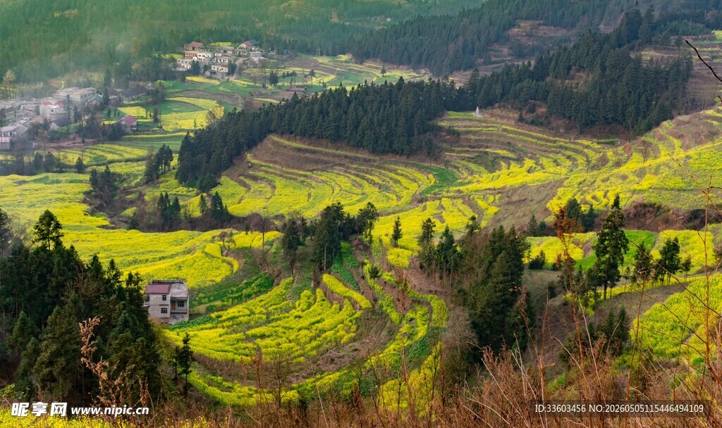 春日梯田美景