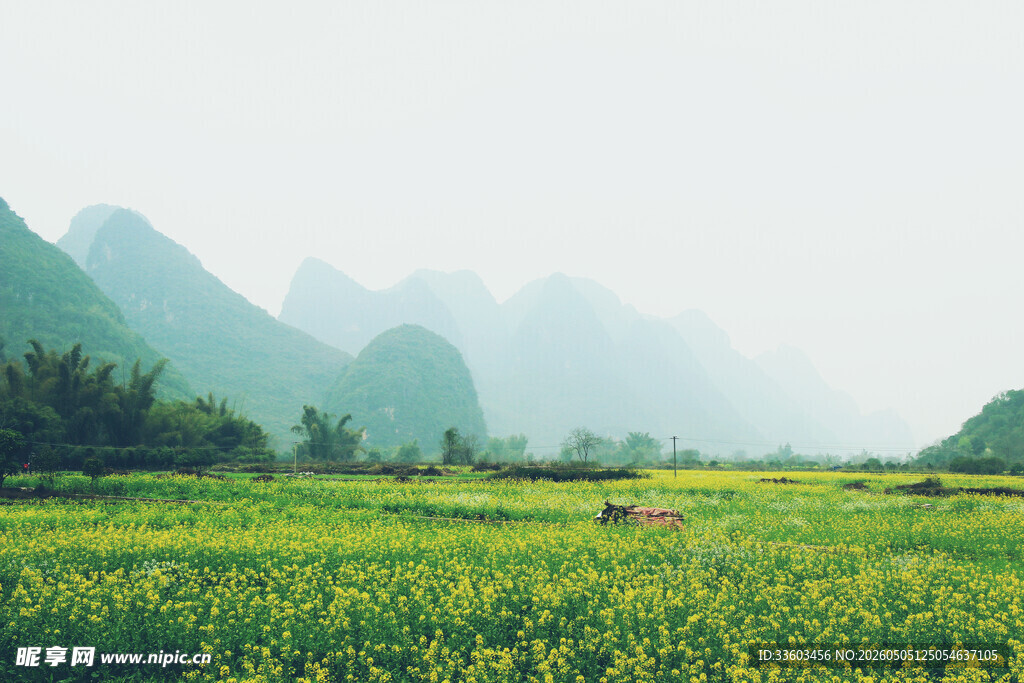 绿野山间景