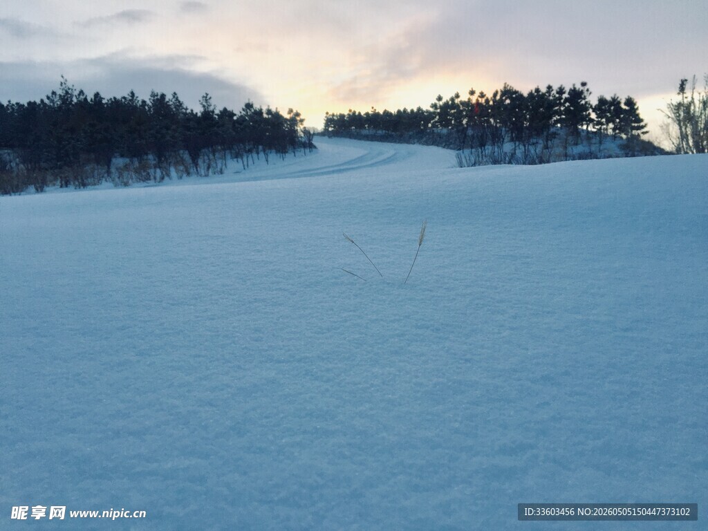 冬日雪地与远处林木景观