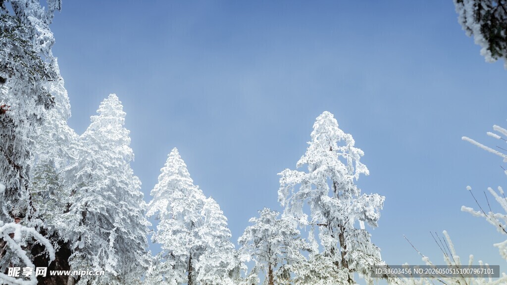 雪覆山林美景