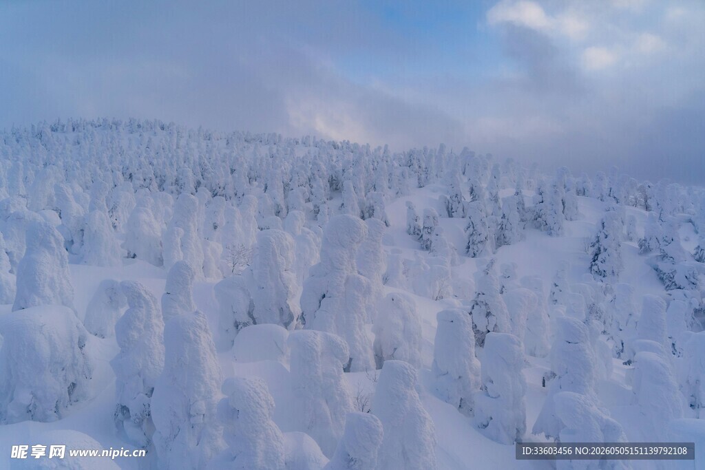 雪覆山林美景