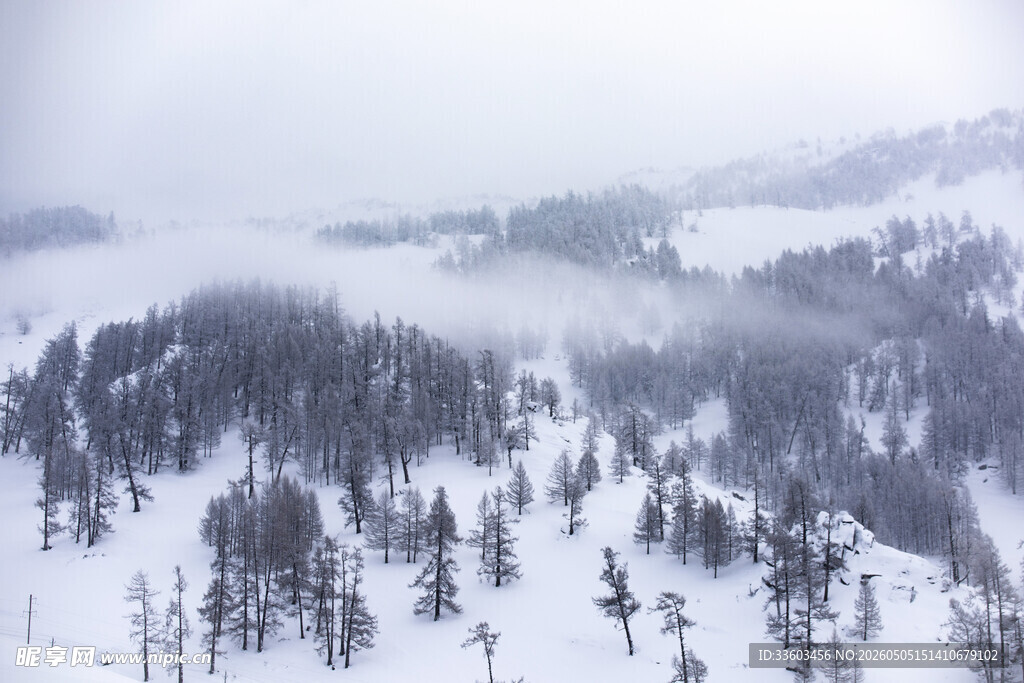 雪覆山林