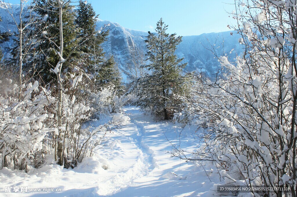 冬日雪覆山林小道