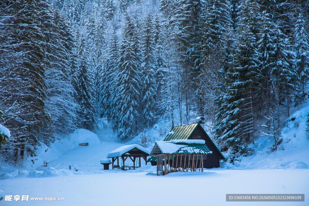 雪林深处的静谧小屋