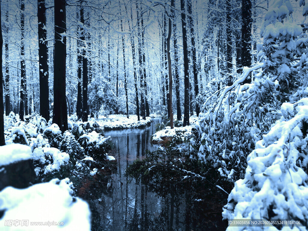冬日雪覆森林溪流美景