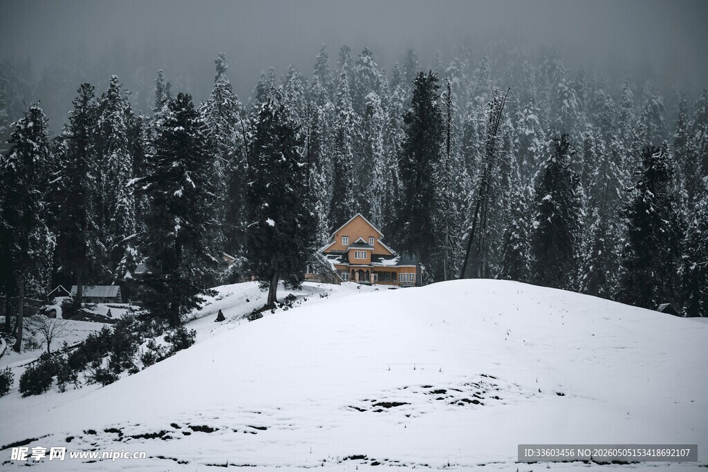 雪林中小屋的静谧景致