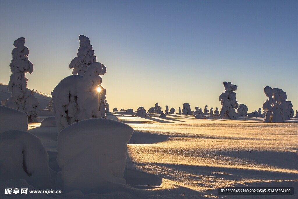 雪后奇景