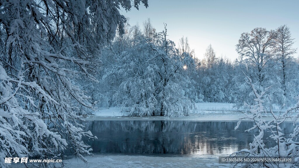 冬日雪覆湖泊森林美景