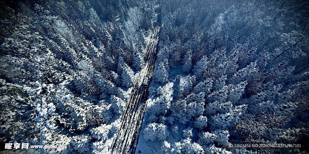 冬日雪林公路俯瞰美景
