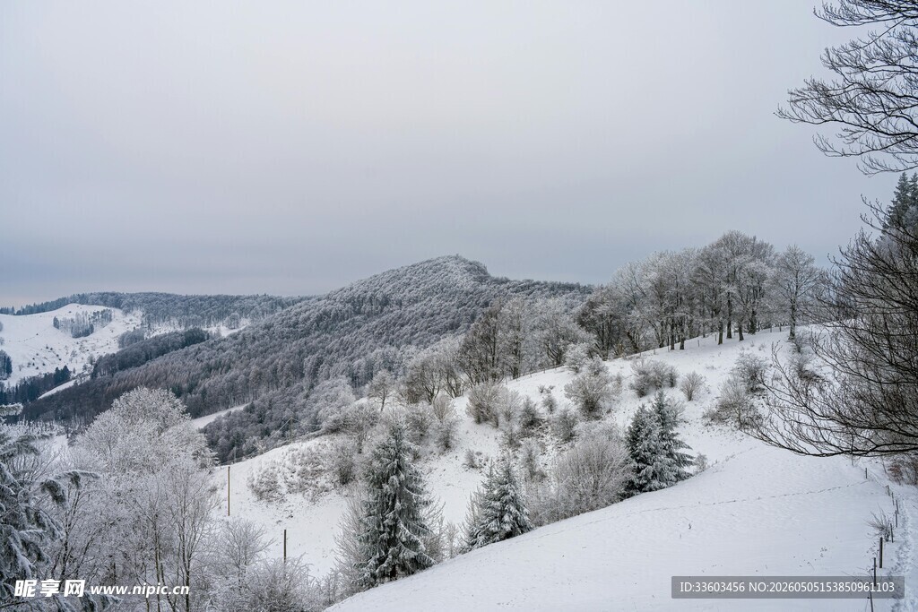 冬日雪景中的山林风光