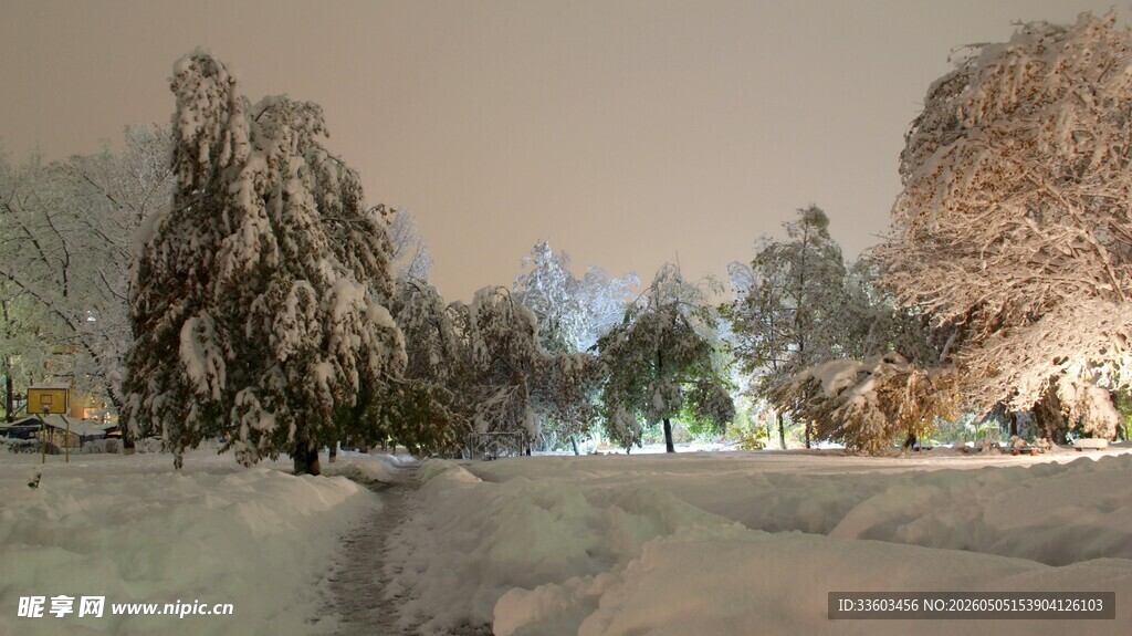 雪夜公园美景