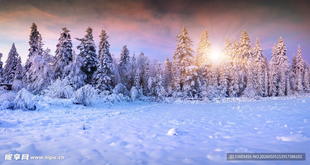 冬日雪林日出美景