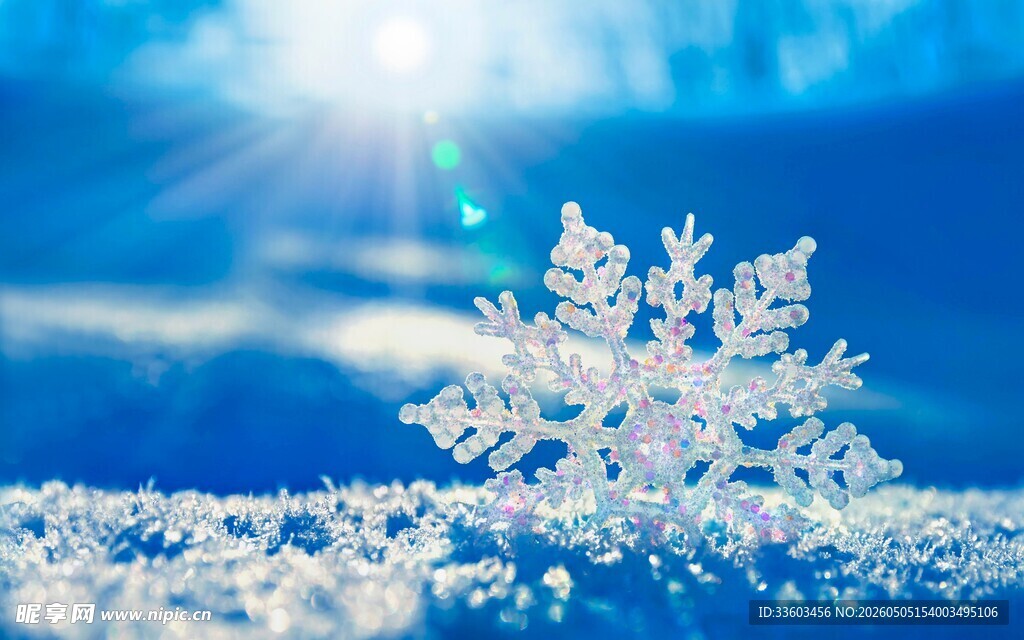 阳光下的精致雪花