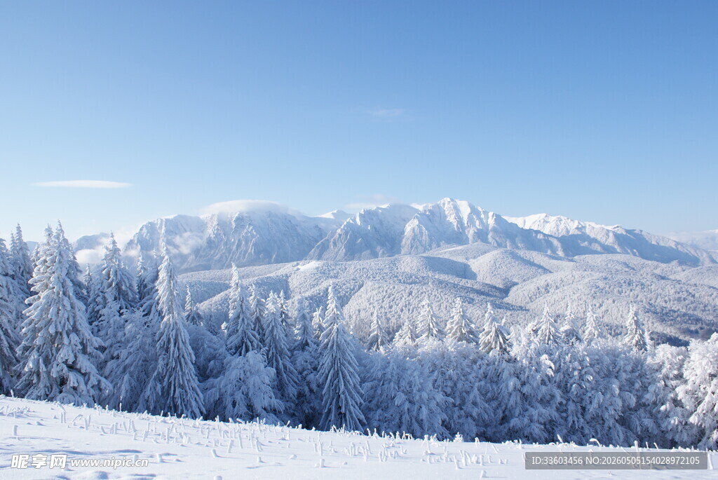 冬日雪覆山林美景