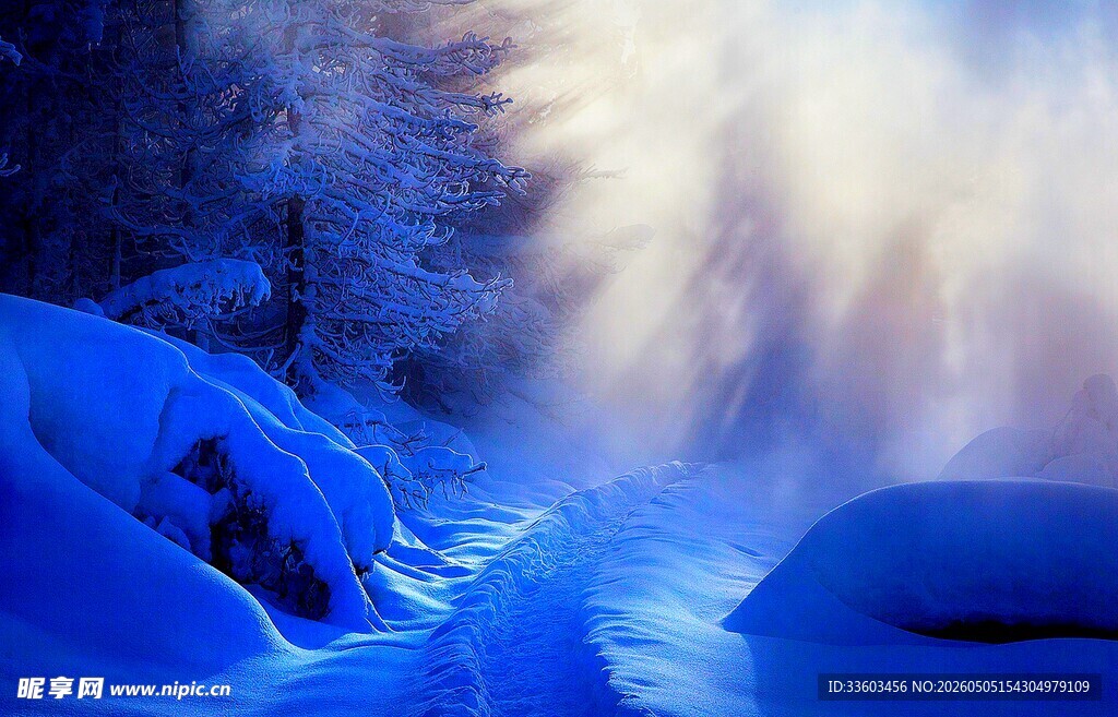 冬日雪林奇幻光影景象