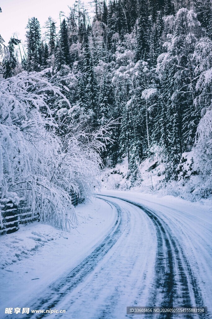 雪覆山林中的蜿蜒雪路