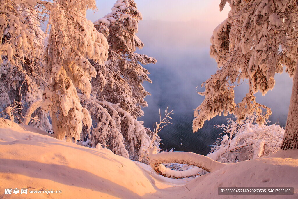 冬日雪覆山林美景