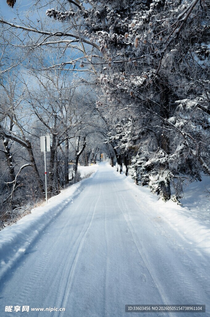 冬日雪覆道路美景