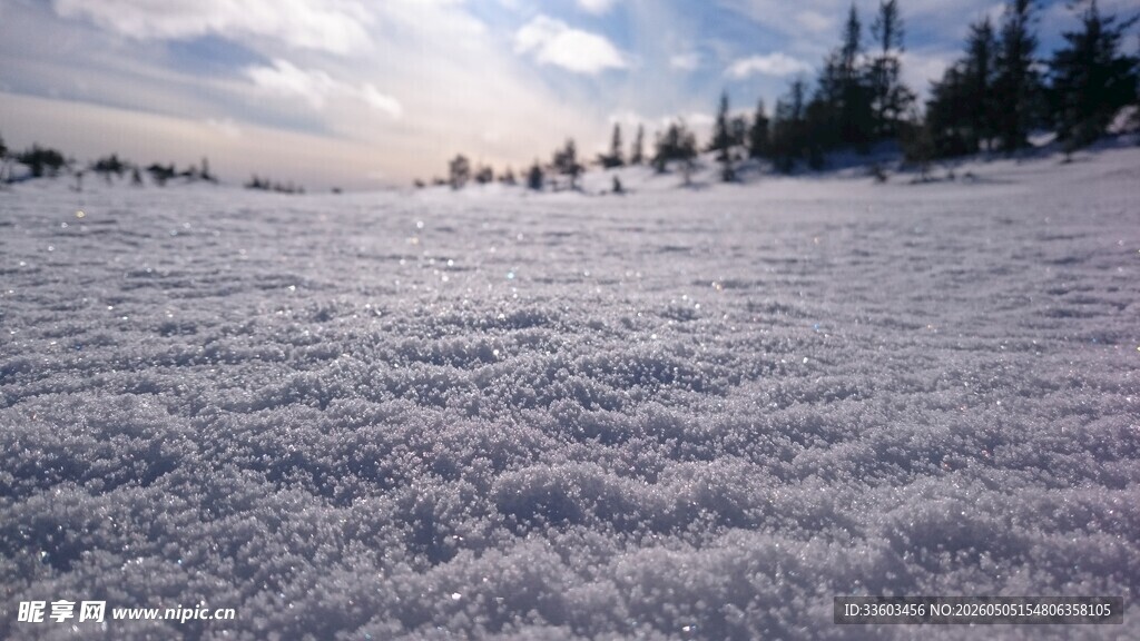 冬日雪地风光