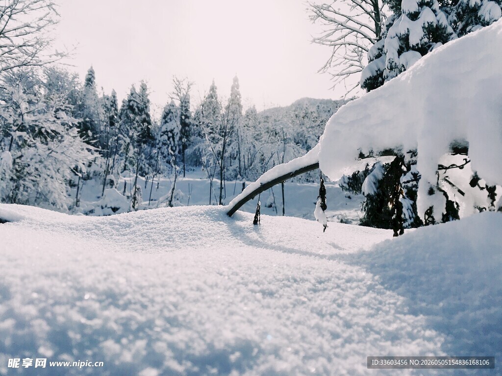 冬日雪景中的林间小屋