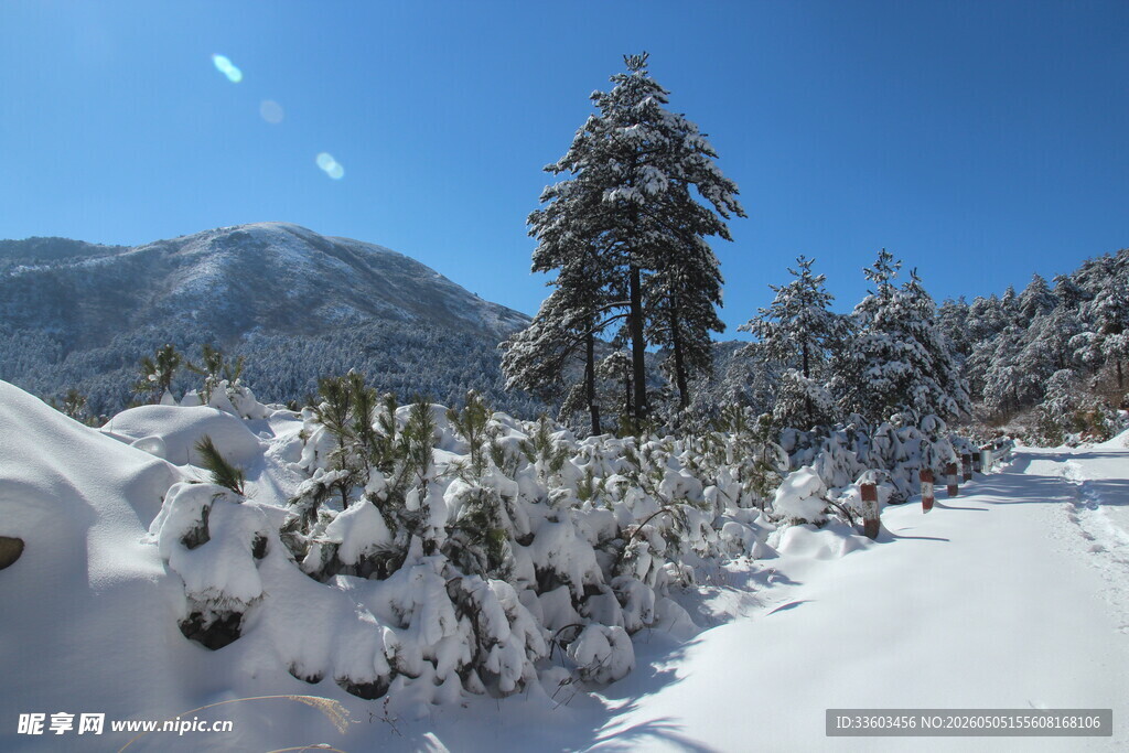 冬日雪景中的山林美景