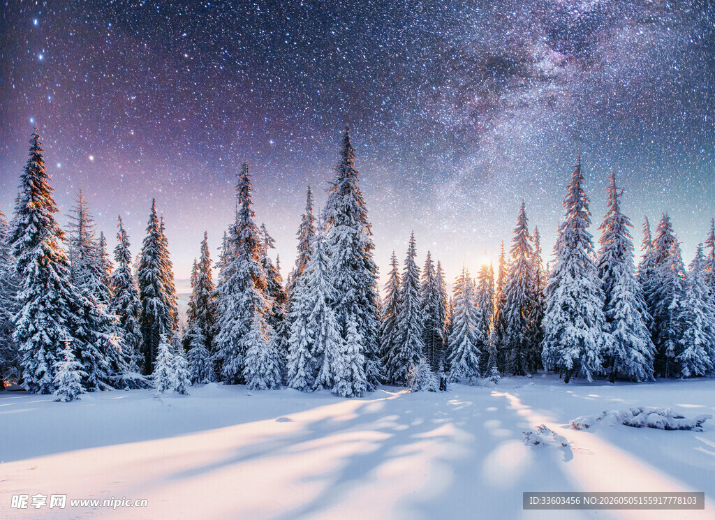 雪夜松林星空下的静谧美景
