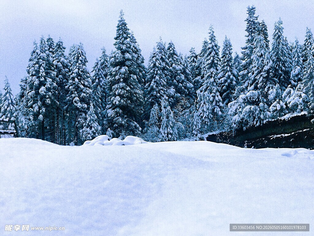 雪覆山林的静谧冬日景象