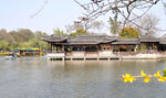 湖畔中式建筑与水中黄花
