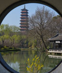 透过圆窗观古塔湖景