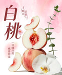白桃杯贴