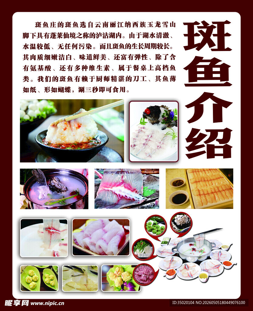 斑鱼介绍宣传页展示